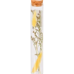 Buisje met droogbloemen