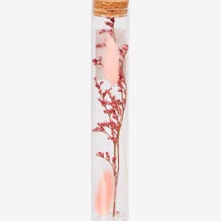 Buisje met droogbloemen