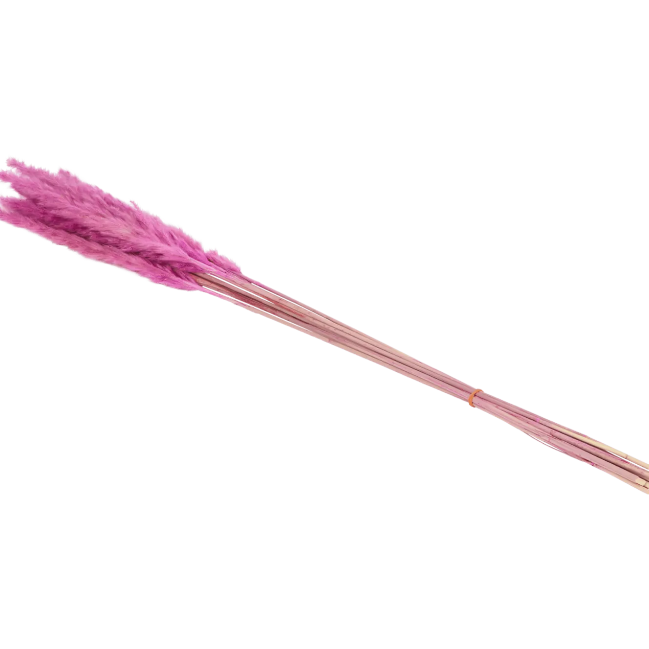 Droogboeket