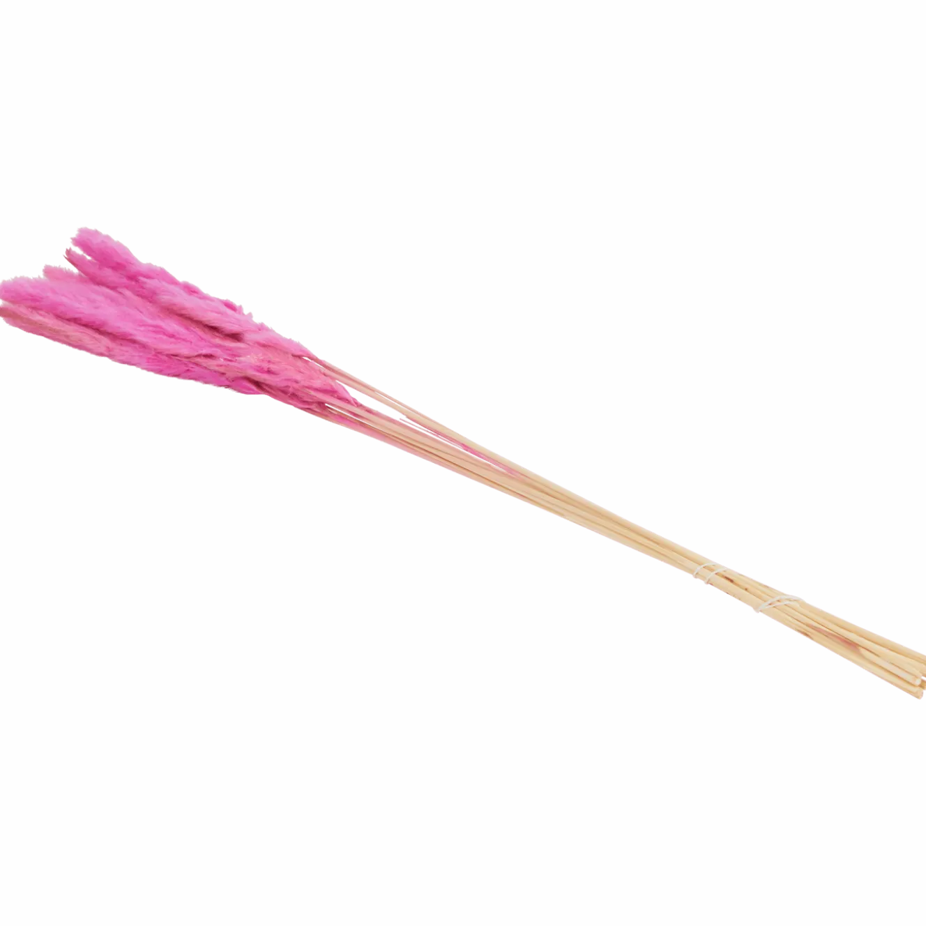 Droogboeket