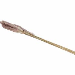 Droogboeket