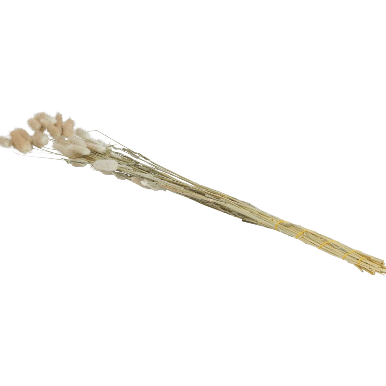 Droogboeket