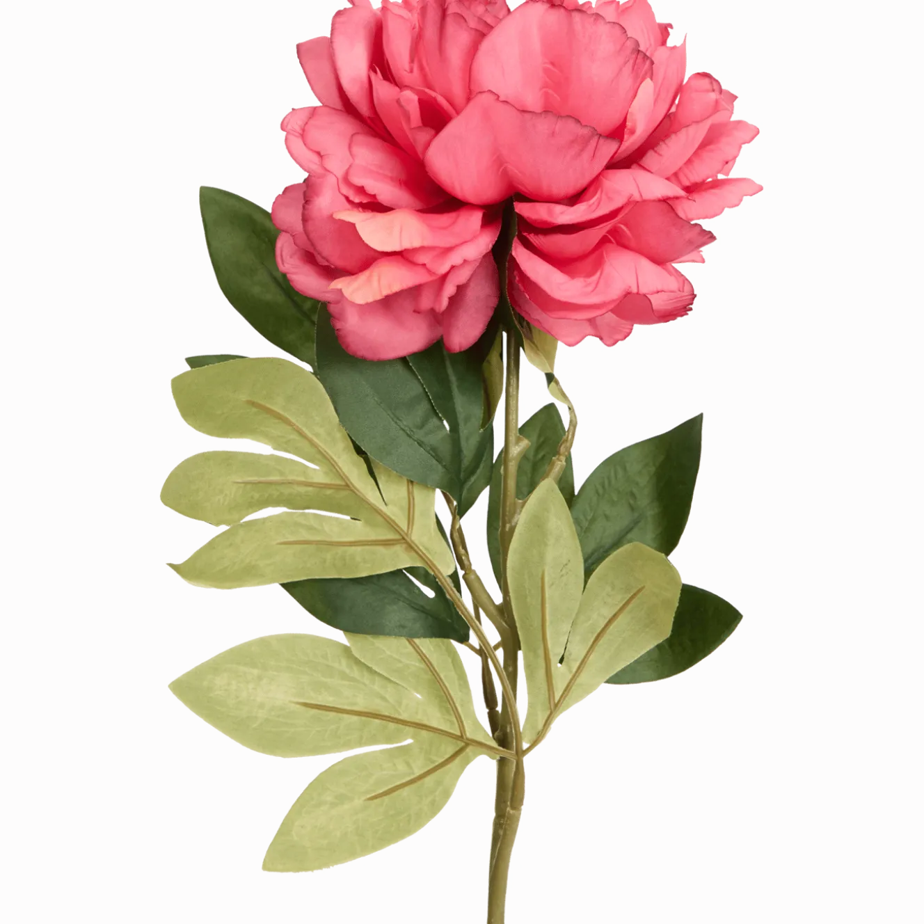 Excellent Flowers kunstpioenroos op steel