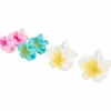 Haarclips