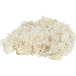 Home Accents decoratief mos