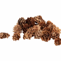 Home Accents decoratiemateriaal