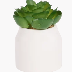 Home Accents kunstvetplantje in pot