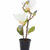 Kunstmagnolia in pot
