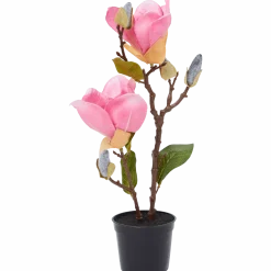 Kunstmagnolia in pot