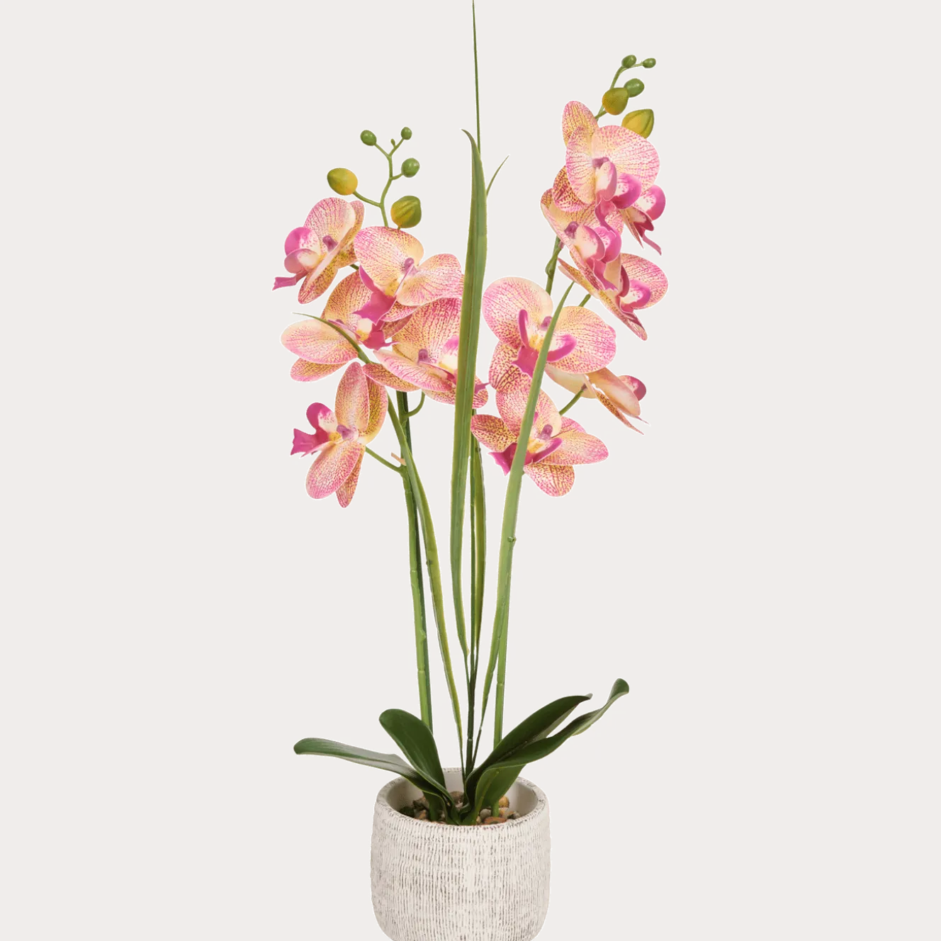 Kunstorchidee in pot