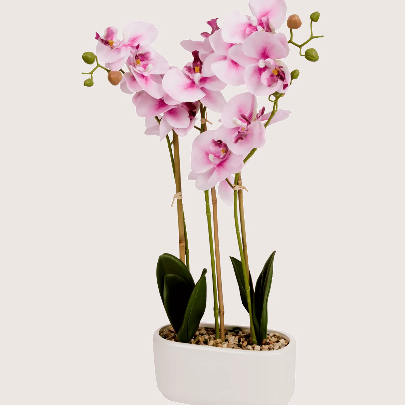 Kunstorchidee in pot
