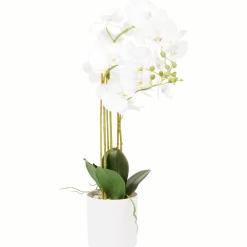 Kunst orchidee in pot
