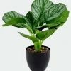 Kunstplant