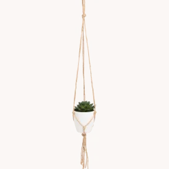 Kunst-vetplant in hangpotje