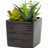 Kunst-vetplant in pot