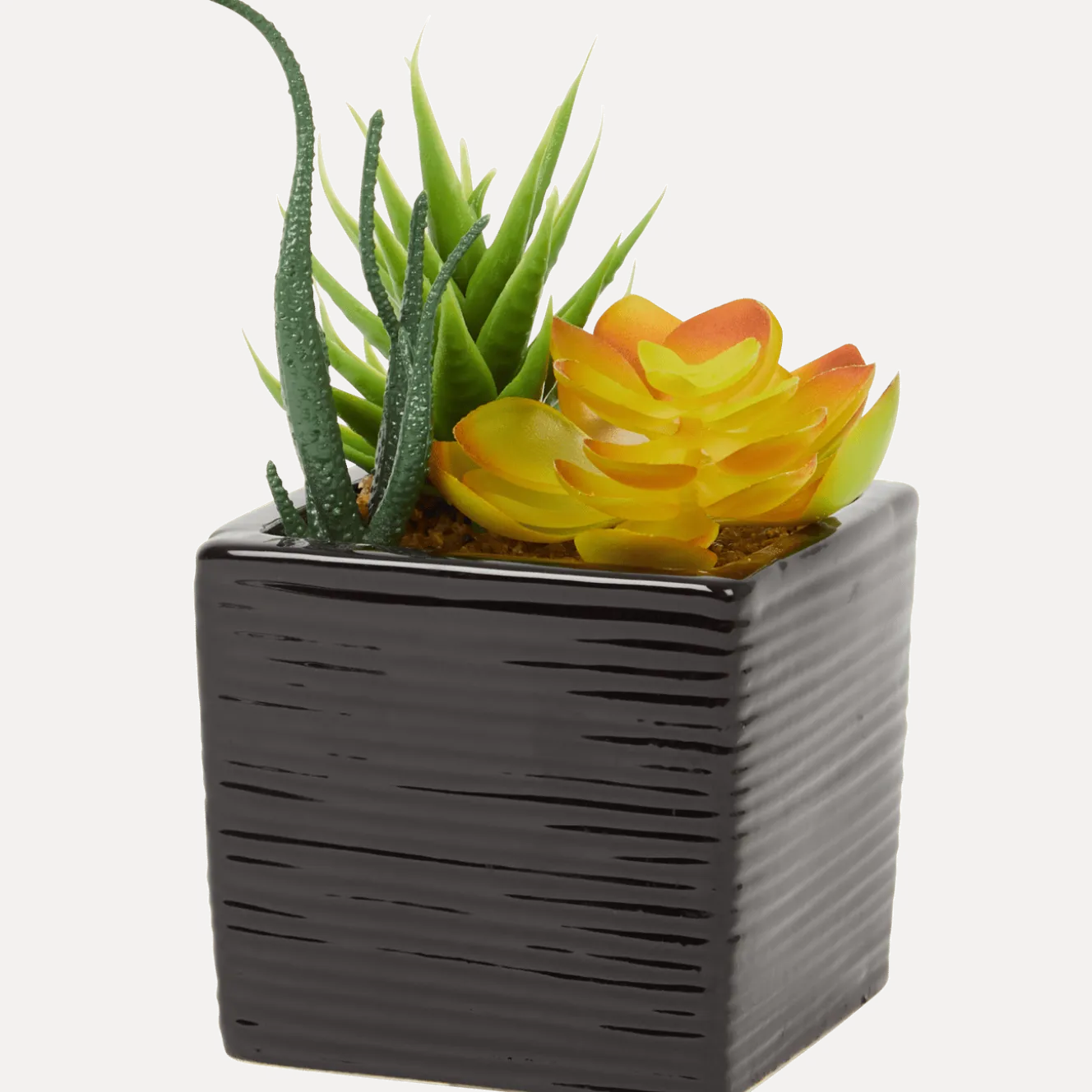 Kunst-vetplant in pot