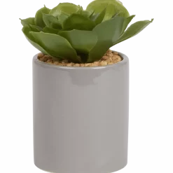 Kunst vetplant in pot