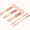 Make-up-borstelset Shine