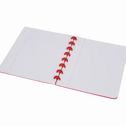 Ringschrift A5