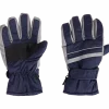 Skihandschoenen