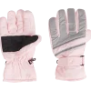 Skihandschoenen