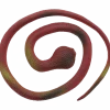 Speelgoed-slang