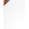 Van Bleiswijck schildersdoek