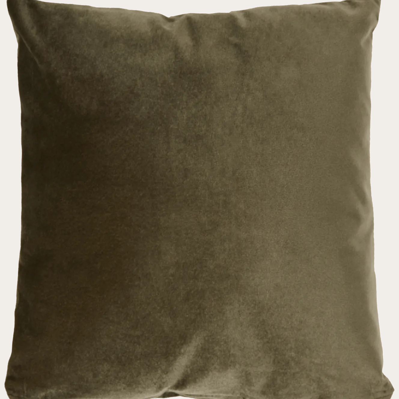 Velvet kussen