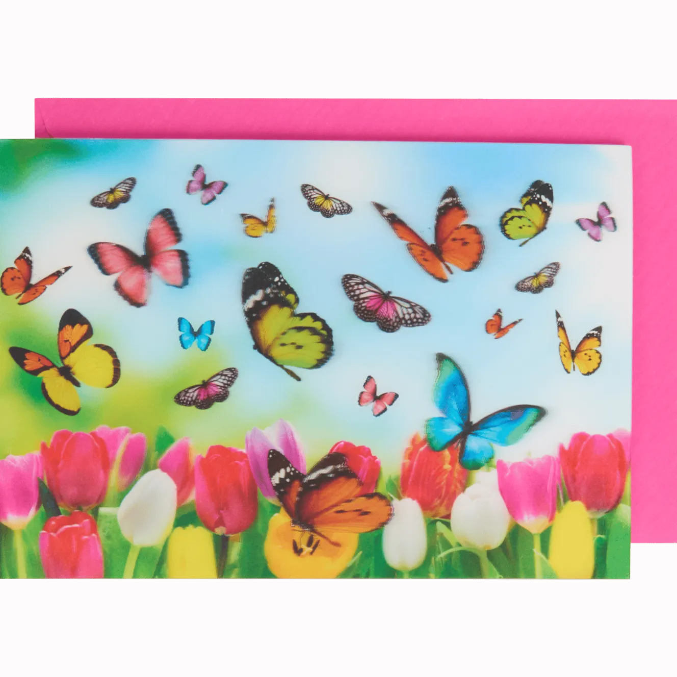 Wenskaart lenticulair met dieren