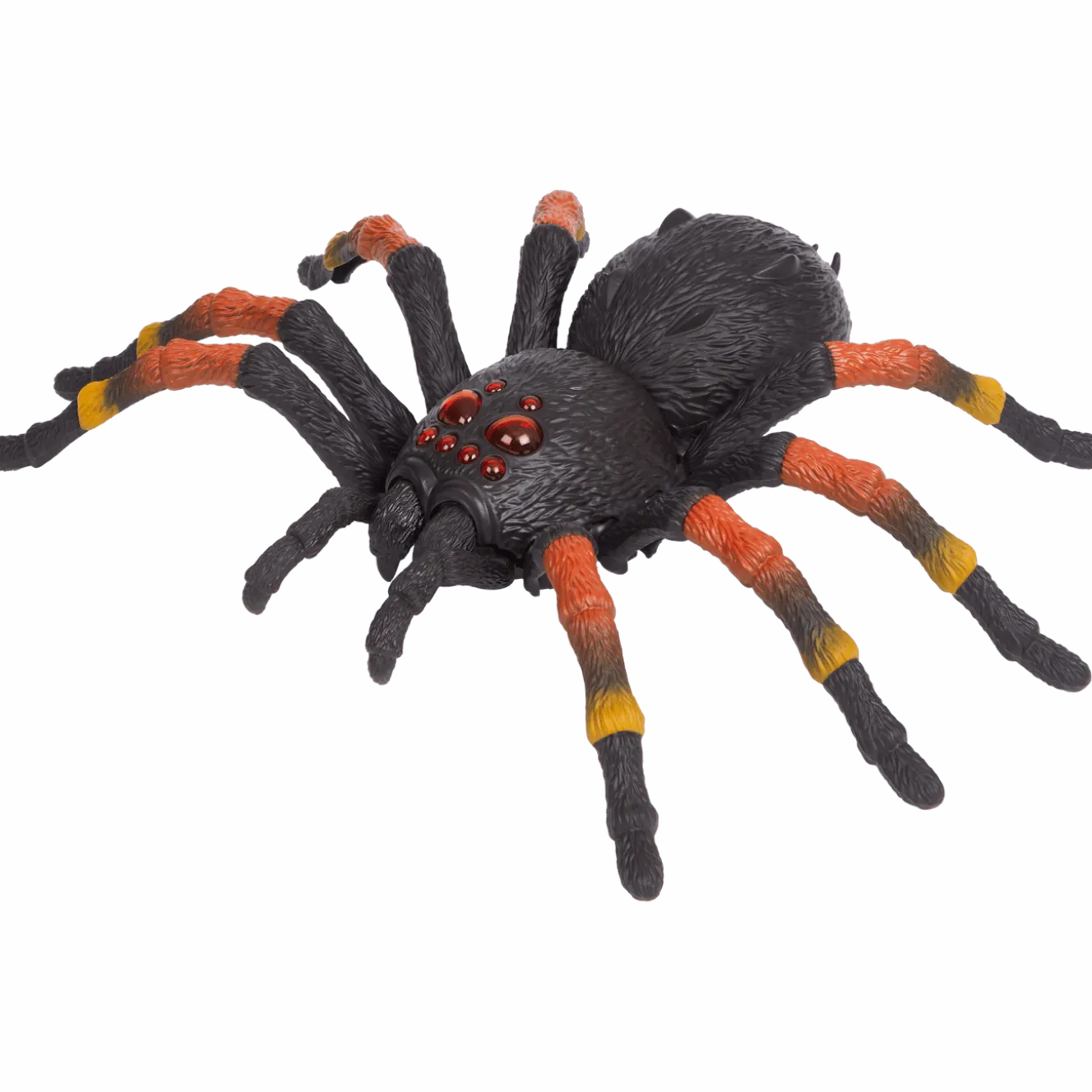 Zuru Wild Bots Giant Tarantula